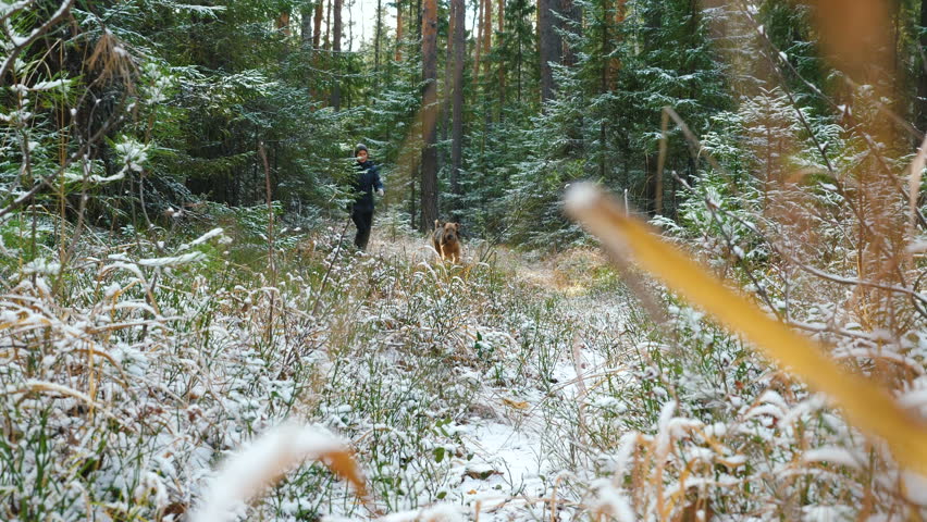 Young slim woman runs in the forest with a Airedale Terrier dog. The first snow in the autumn forest lies on the dry grass.
