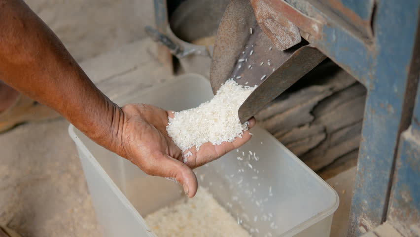 Take rice from the mill