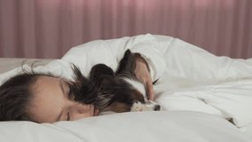 Happy teen girl communicates with dog Papillon in the bed stock footage video
