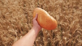 farmer holds bread first person view. man holds a bread loaf in a wheat field. slow motion video. lifestyle successful agriculturist in field of wheat. harvest time. bread baking vintage agriculture
