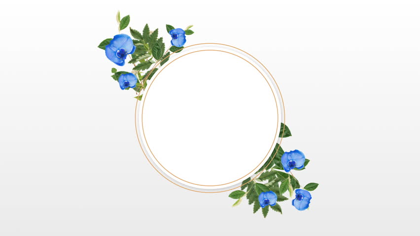 photoframe share photoframe share