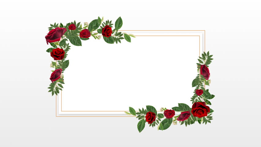 Rectangle photo frame for copy space with decorative red roses against white background | Shutterstock HD Video #1020923881