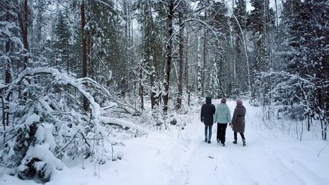 happy man and women have fun walking along dense forest with bare tree trunks in cold winter