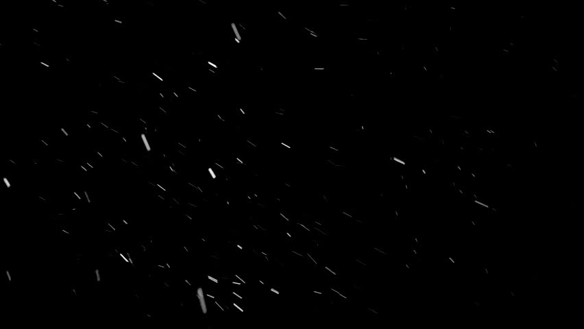 Shutterstock Video