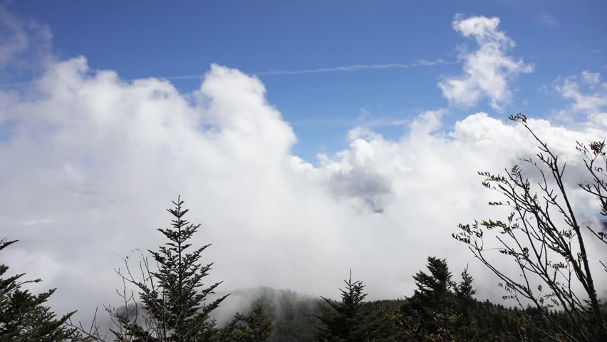 Timelapse on Mont Le Conte in the Great Smoky Mountains National Park