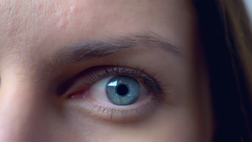 Female eye close up, caucasian blue-eyed girl with make-up eyelashes, moving pupil and blinking eyelid, concept video for ophthalmology, stock video | Shutterstock HD Video #1020971074