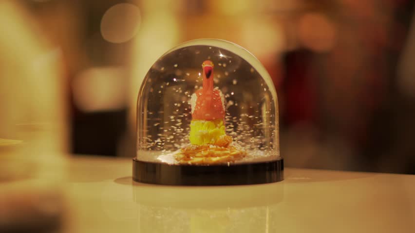 Shaking a Flamgino Snowglobe in the center of the camera and putting it down with beautiful bokeh effect