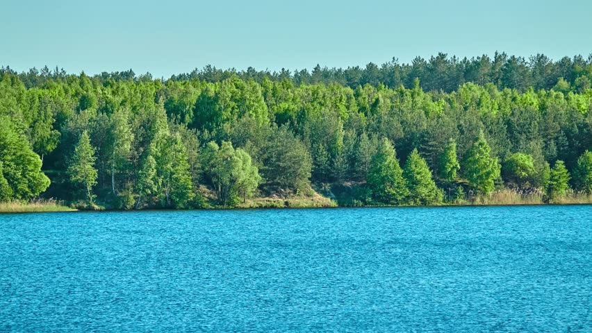 Summer landscape of small river with wooded banks.