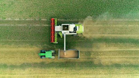Harvesting on the wheat field Combine and Tractor Agriculture Machinery Technology Food Modification Crop Farming Concept