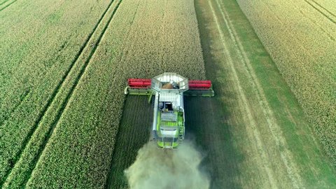 Harvesting on the farmland Combine Agriculture Machinery Technology Food Modification Crop Farming Concept