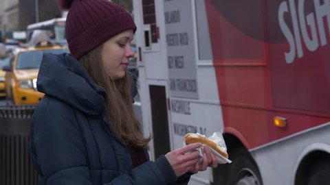 Typical street food in New York the famous hot dog