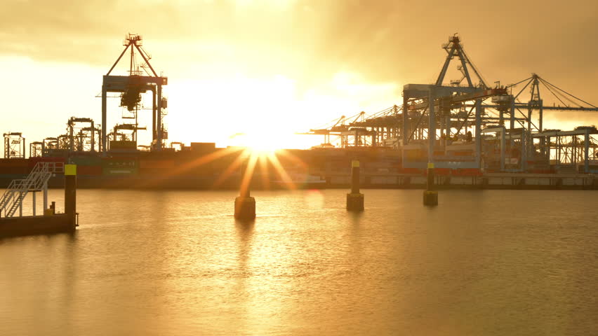 Sunset at Port of Rotterdam container terminal Royalty-Free Stock Footage #1021020370