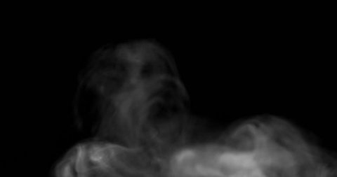 Scream Horror Screaming Ghost Face Scary Stock Photo (Edit Now) 745586710