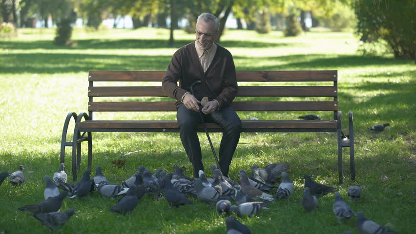 Smiling elderly man relaxing and feeding pigeons in park, happy retirement