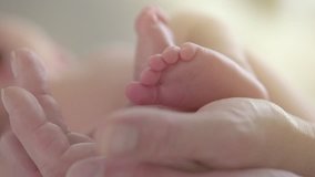 Baby feet in mother and father hands. Tiny Newborn Baby's feet on hands closeup. Mom, dad holding their Child. Healthy and Happy Family concept. Beautiful video of Parenthood, adoption 4K Slow motion