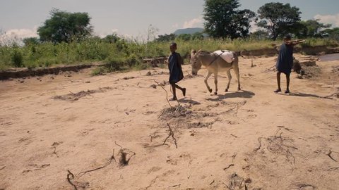 Idodi, Africa / Tanzania - 03 25 2016: Boys nomad shepherds report the donkey home