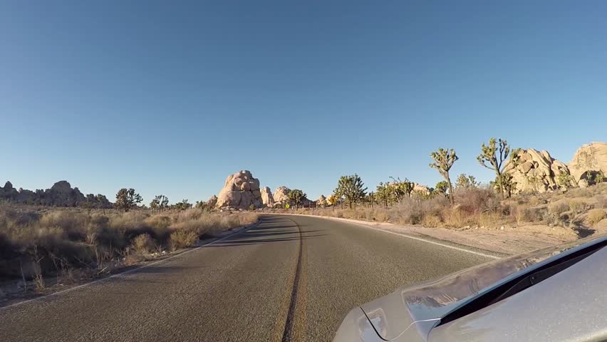 Driving through Joshua Tree National Park.