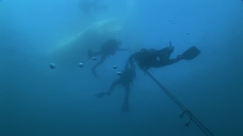 scuba divers underwater diving boat on the surface going up with a rope ocean scenery with people