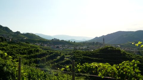 View from the Prosecco wine hill - Conegliano Valdobbiadene