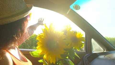 Happy young travel young woman enjoying road trip in summer nature with bouquet of sunflowers. Girl holding arm, puts her hand out of car window. traveling by car happy holidays Summertime Vacation