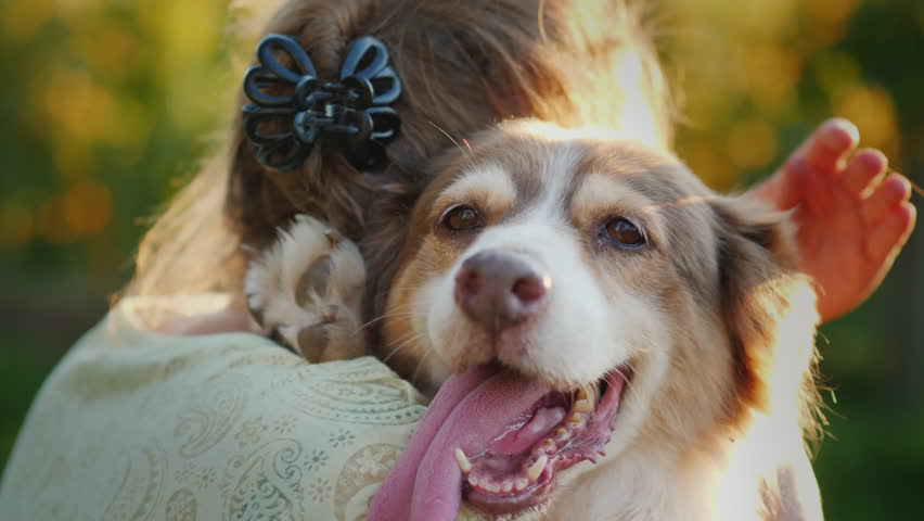 Owner hugs his beloved dog