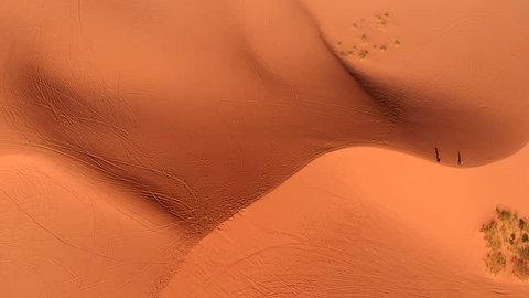 Drone aerial of the Coral Pink Sand Dunes State Park ஸ்டாக் வீடியோ