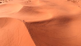Drone aerial of the Coral Pink Sand Dunes State Park