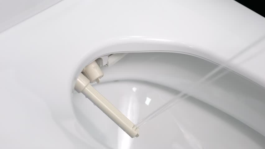 555 Clog Toilet Stock Video Footage - 4K and HD Video Clips | Shutterstock