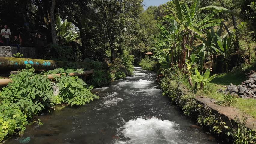 AERIAL: FLYING OVER RIVER IN A PARK.