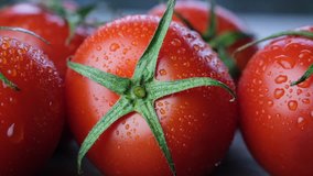 Close up footage of fresh tomato fruits on wooden table top. Selective focus.