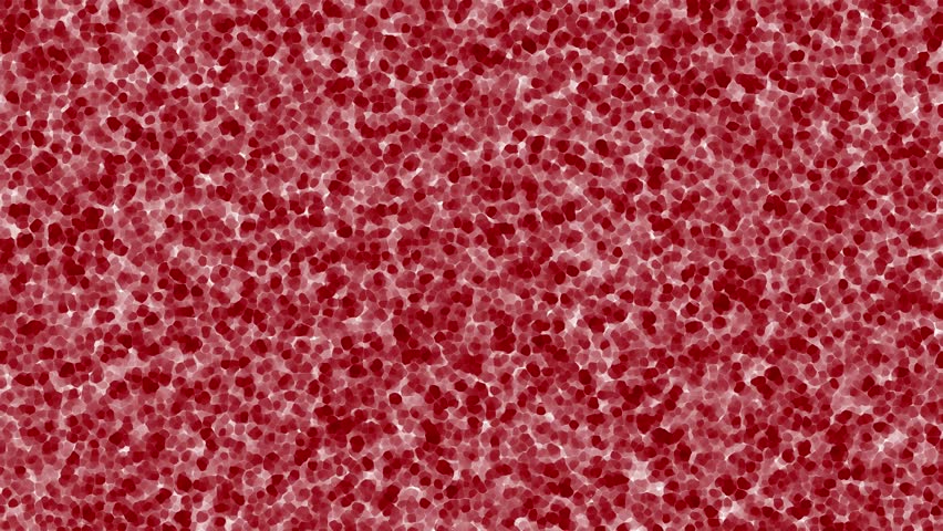 Red, human cell animation. Cells, stem background from microscope. Royalty-Free Stock Footage #1021123828