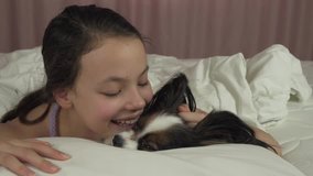 Happy teen girl kisses and plays with dog Papillon in the bed stock footage video