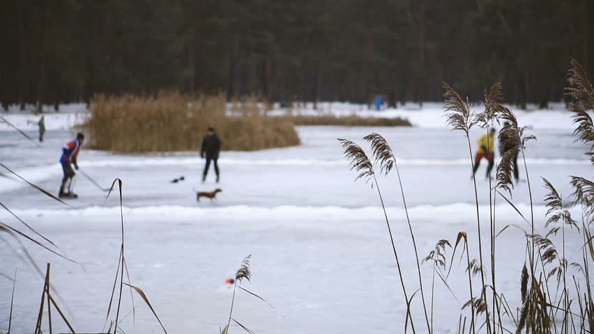 Hockey. Street hockey