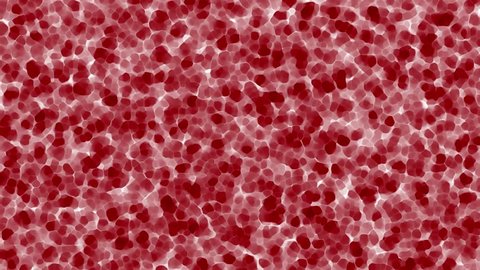 Red, human cell animation. Cells, stem background from microscope.