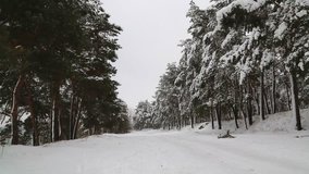 video about a beautiful winter road and a forest in the snow