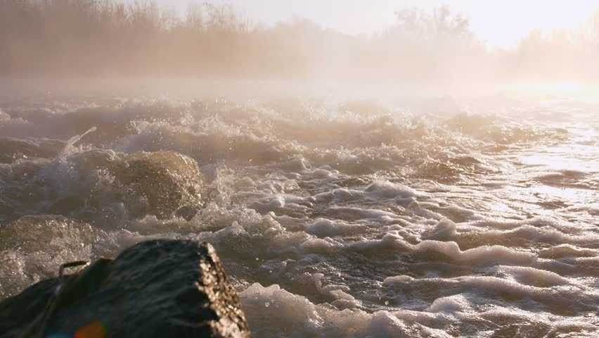 Flowing Into The Sunset In The Black River Forest Image Free Stock