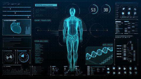 Rotating Human muscle system in digital display, UI, Future medical technology, X-ray light. 4k animation.