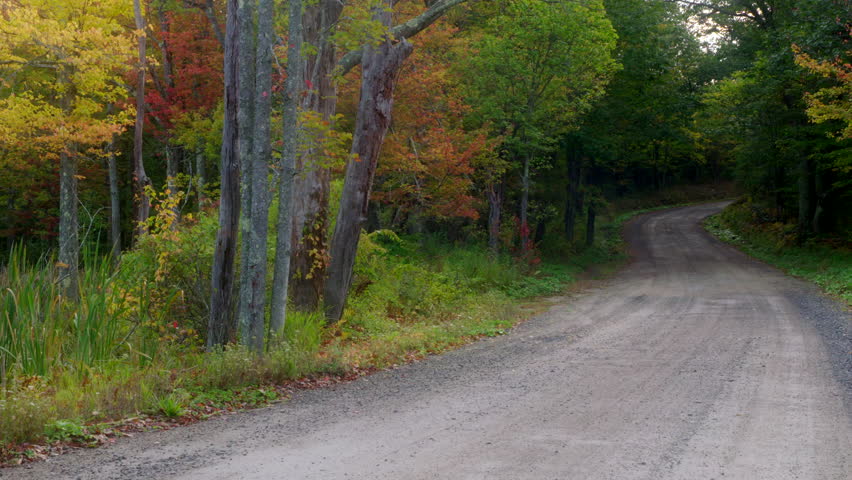 A lonely dirt road going through the woods during autumn with fall foliage. Camera pans right.