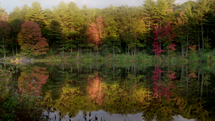 Quiet New England pond or lake in autumn with nice reflections in the calm water. Beautiful and peaceful colorful fall foliage with slightly soft lighting and a hint of foggy mist in the air.