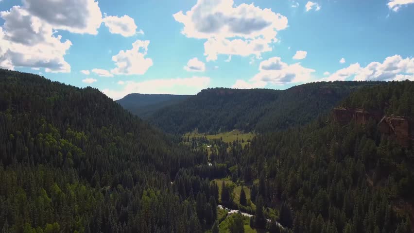 AERIAL: Tilt downward to reveal the stream running through this valley of evergreen trees.