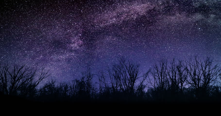 Beautiful Forest Night Sky Milky Stock Footage Video 100 Royalty Free Shutterstock