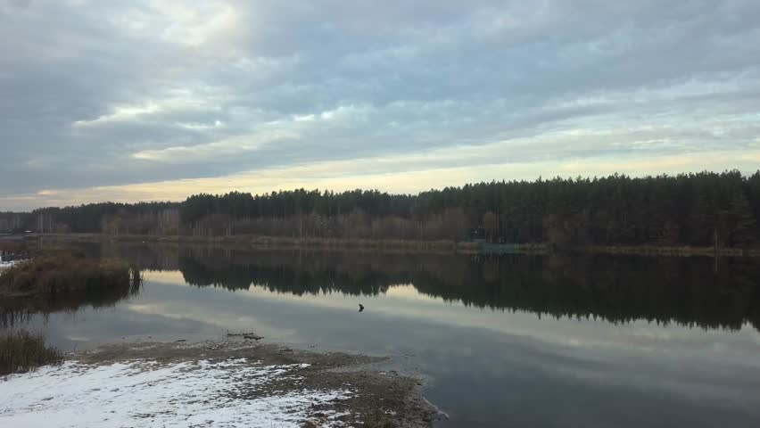 Drone shot of a lake and a forestline

