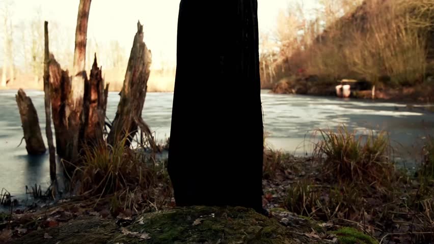 Beautyful Viking woman standing on frozen sea