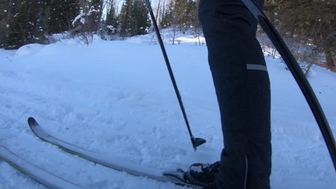 A gimbal shot of a family cross country skiing through a winter forrest after a recent snow storm