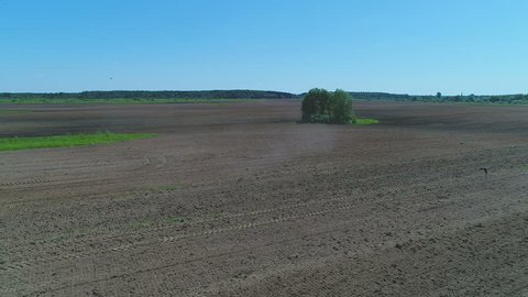 Aerial View Tractor Mowing Green Fresh Grass