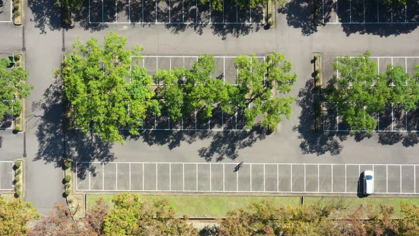 Aerial view of paking space with cars, white lines and green trees