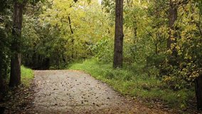 A clip of me walking down a paved pathway in the fall in my home town in Alberta, Canada.