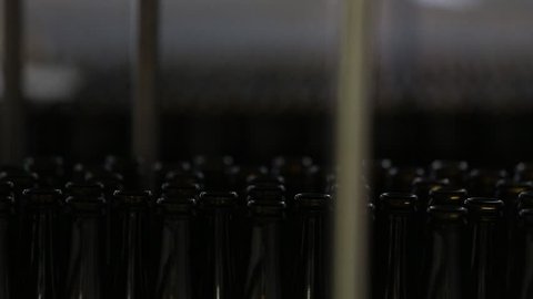 Technological line for bottling of beer in brewery. Empty brown bottles in a line in factory. Bottles Moving on Conveyor Belt at Glass Bottle Factory.