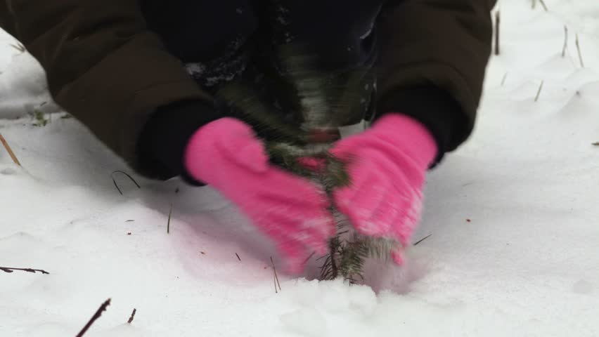  Girl near small spruce