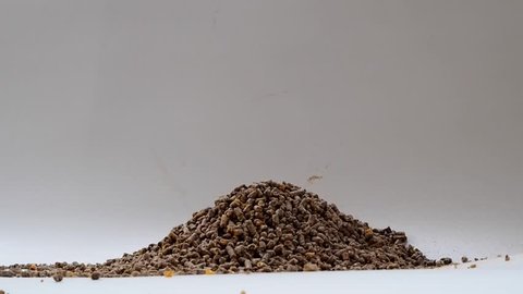 Poultry pellet animal feed flow on white background ,agricultural industrial 